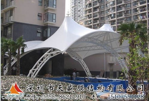 广州景观膜结构厂家