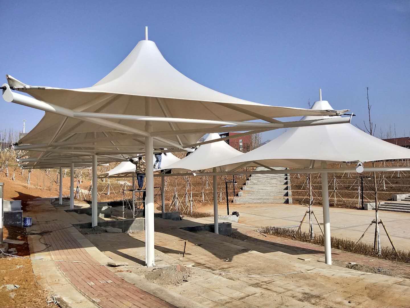 汝洲科教园膜结构景观膜张拉膜伞造型工程